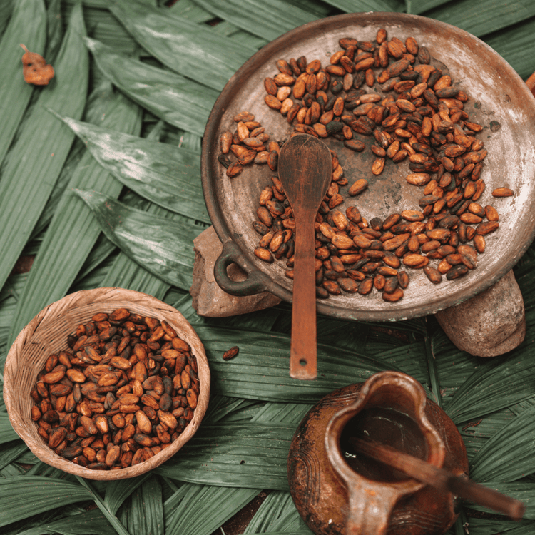 Guided Cacao Journey