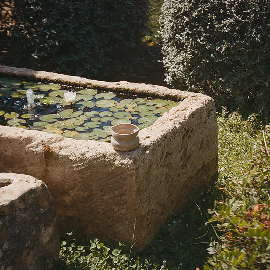 Goddess Cup