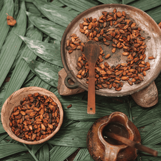Guided Cacao Journey
